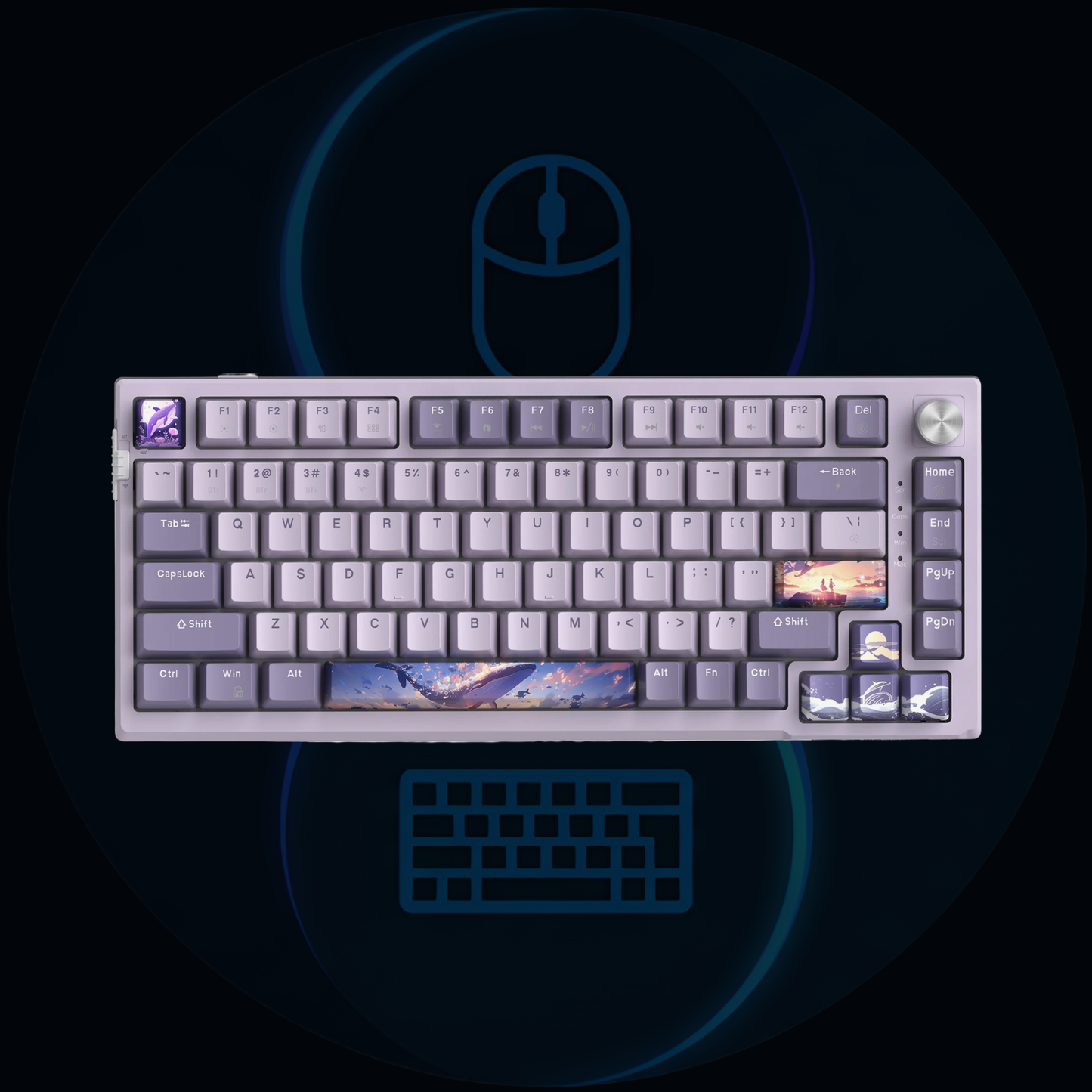 SKY81
